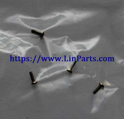 LinParts.com - FQ777 124 RC Quadcopter Spare parts: Screw set