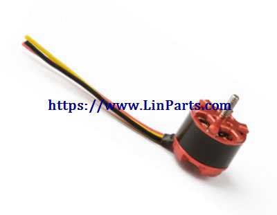 LinParts.com - Hubsan F22 RC Airplane Spare Parts: Brushless Motor