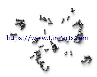 LinParts.com - Lishitoys L6060 RC Quadcopter Spare Parts: Screw package set